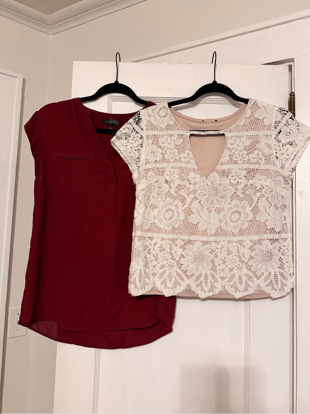 The Limited Ivory Lace Overlay Top with Blush Lining